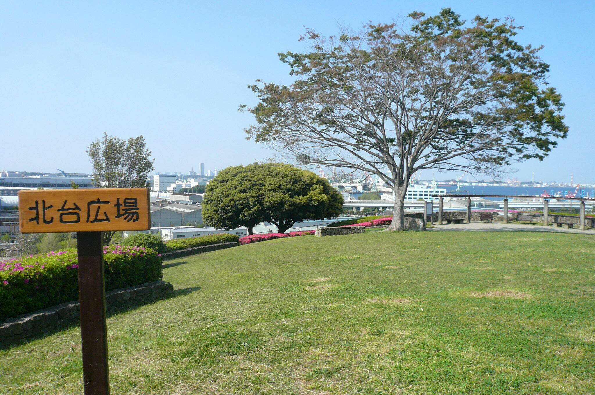 P1110964.jpg