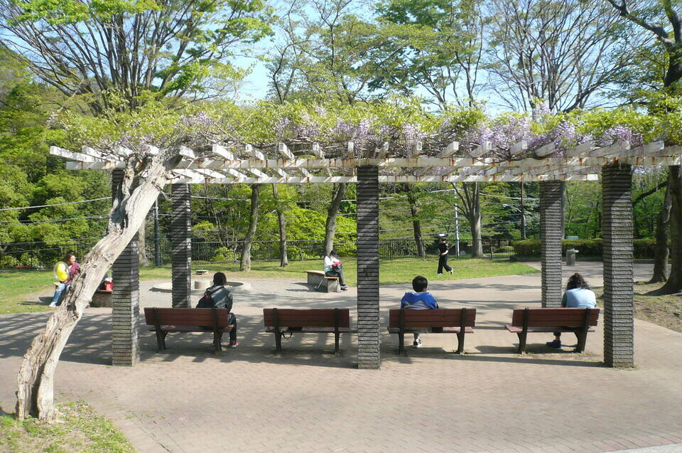 P1110971.jpg