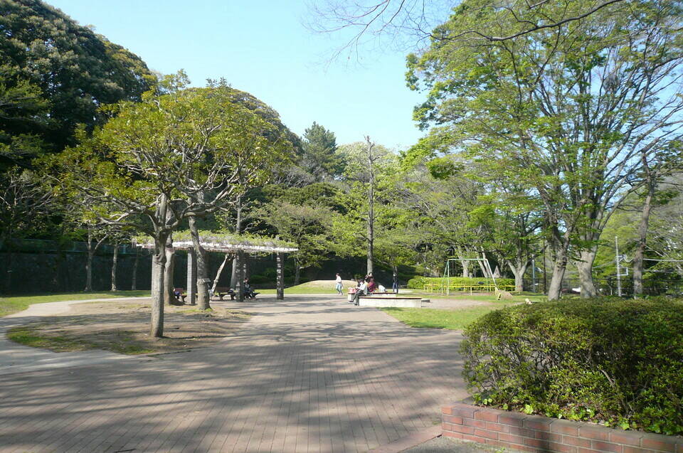 P1110976.jpg