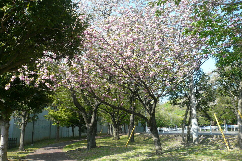 P1110977.jpg