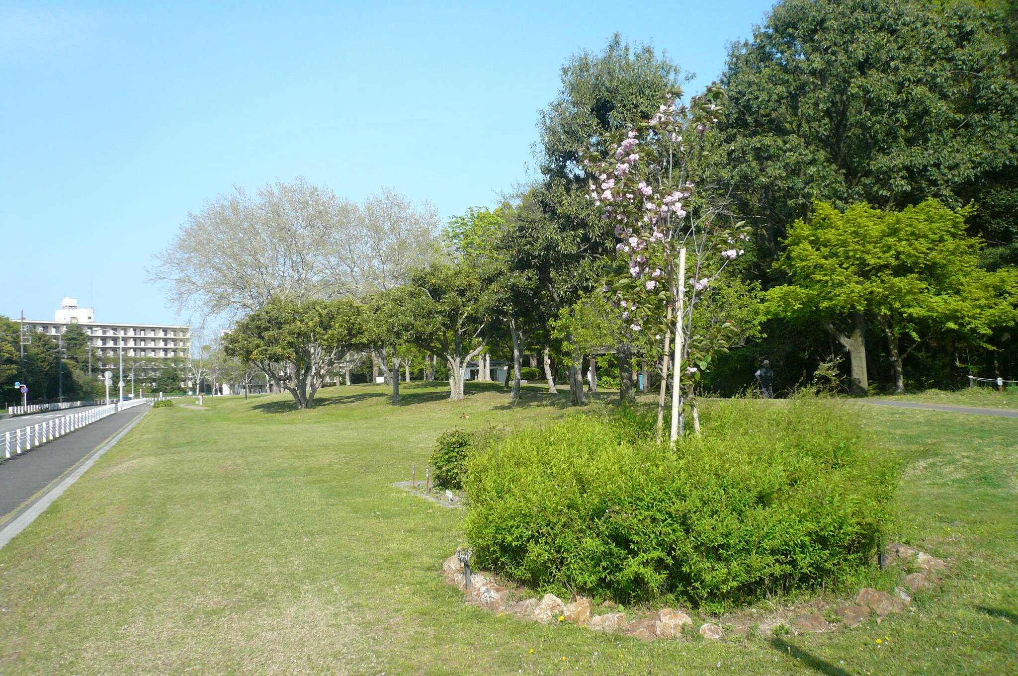 P1110983.jpg
