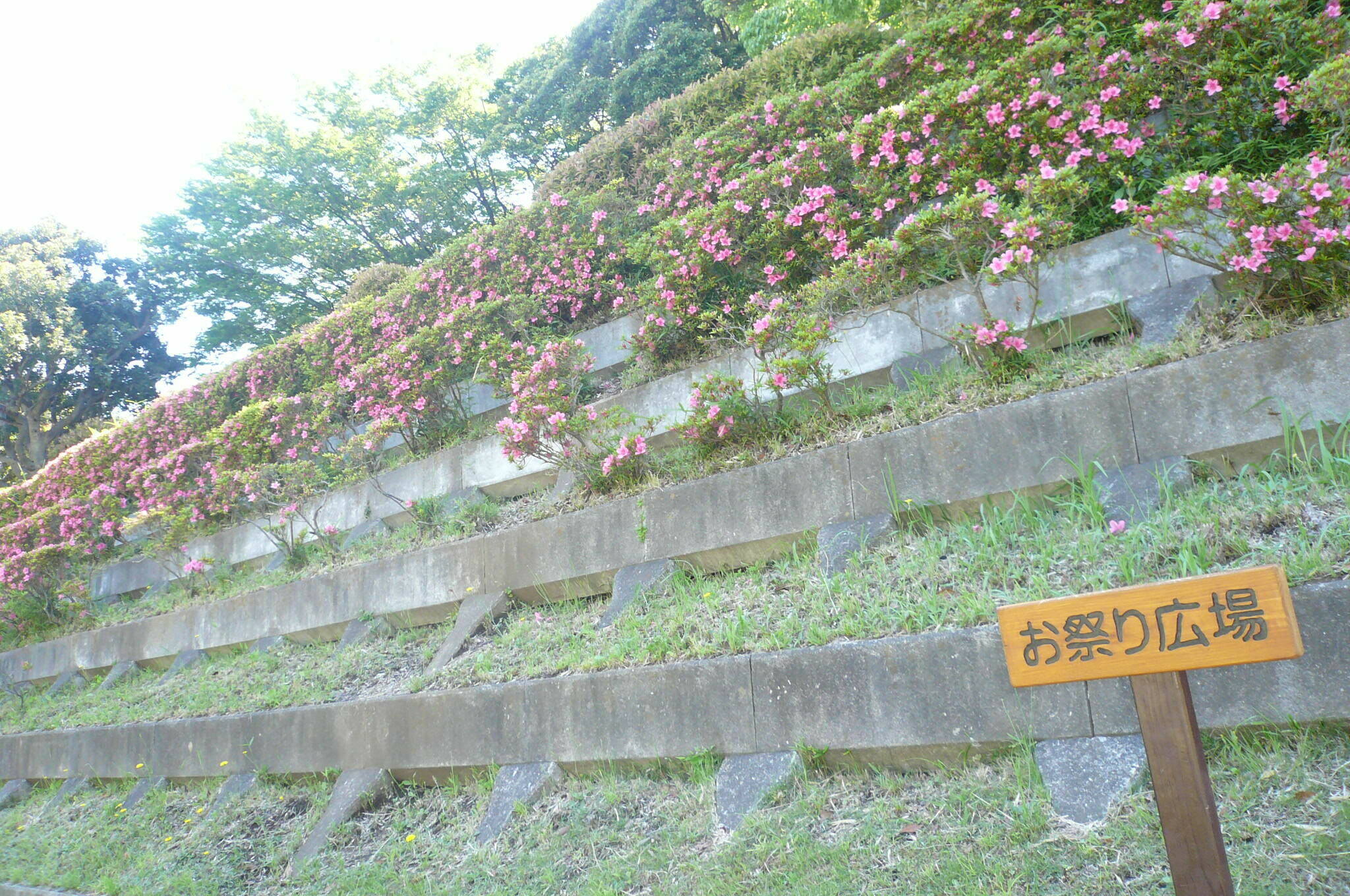 P1120128.jpg