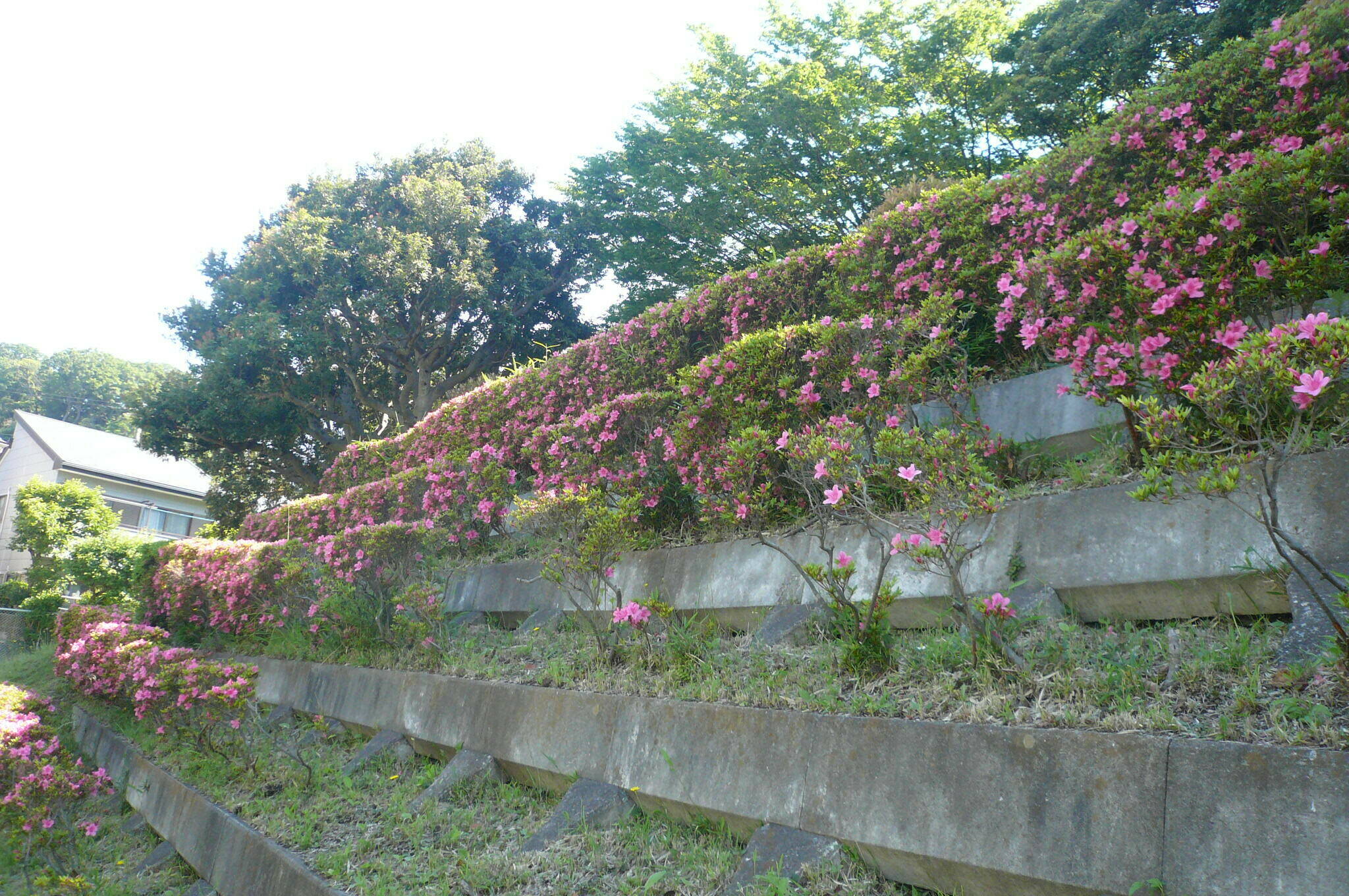 P1120129.jpg