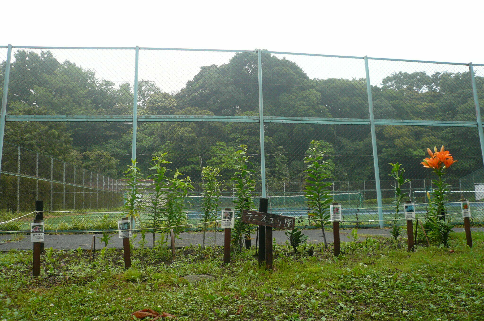 P1120289.jpg