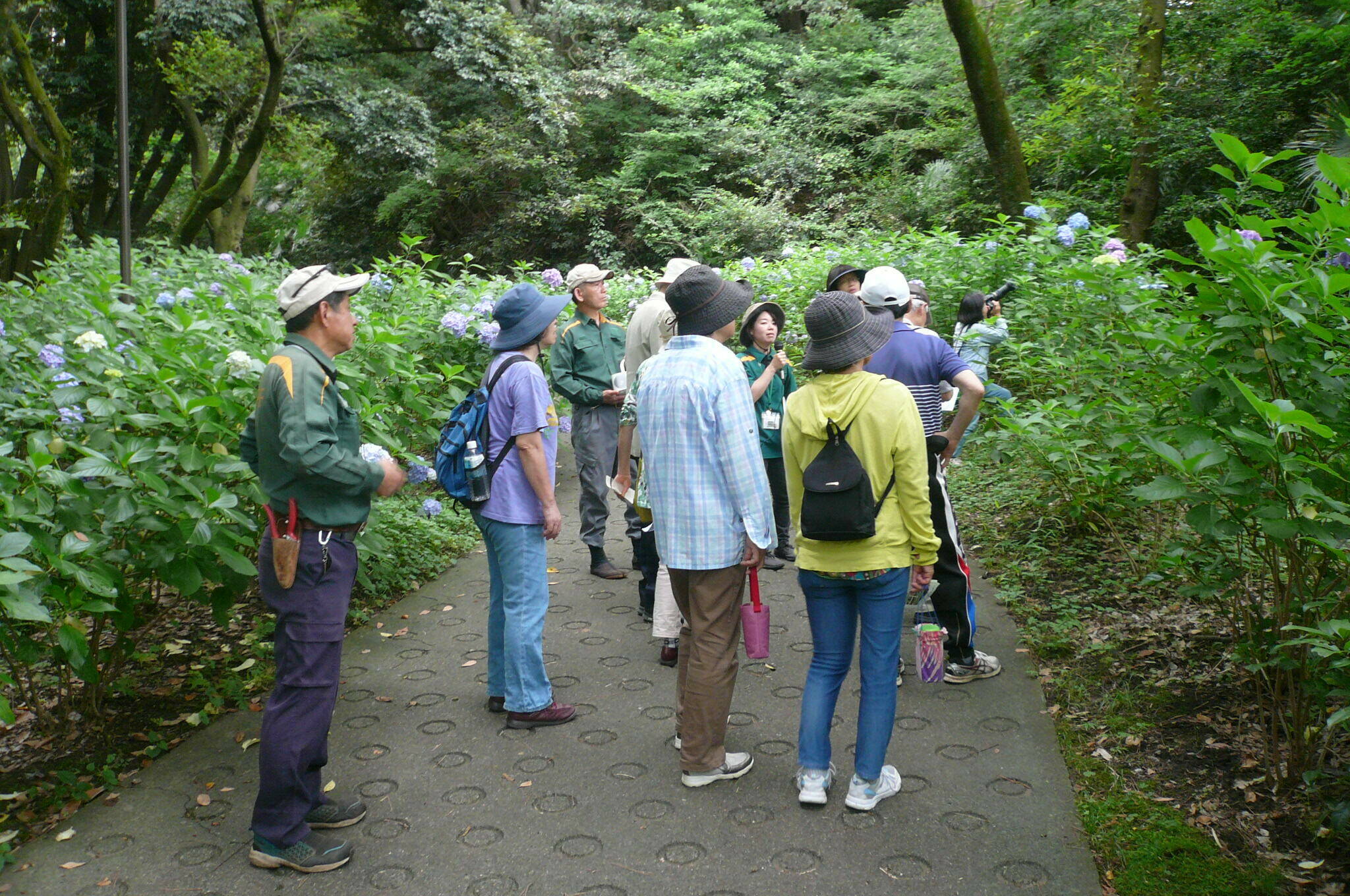 P1120425.jpg