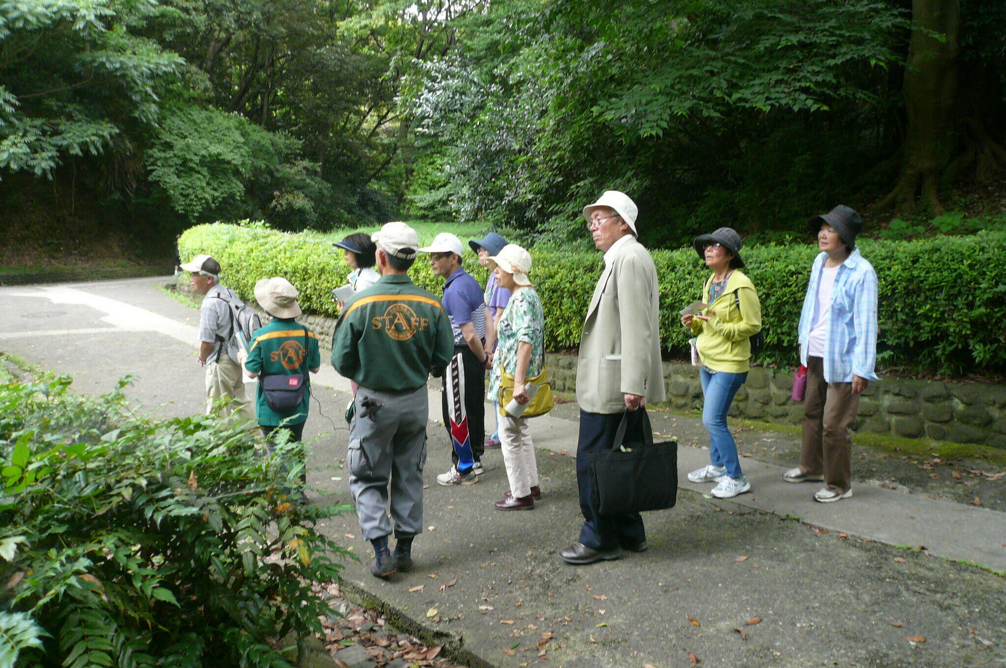 P1120433.jpg