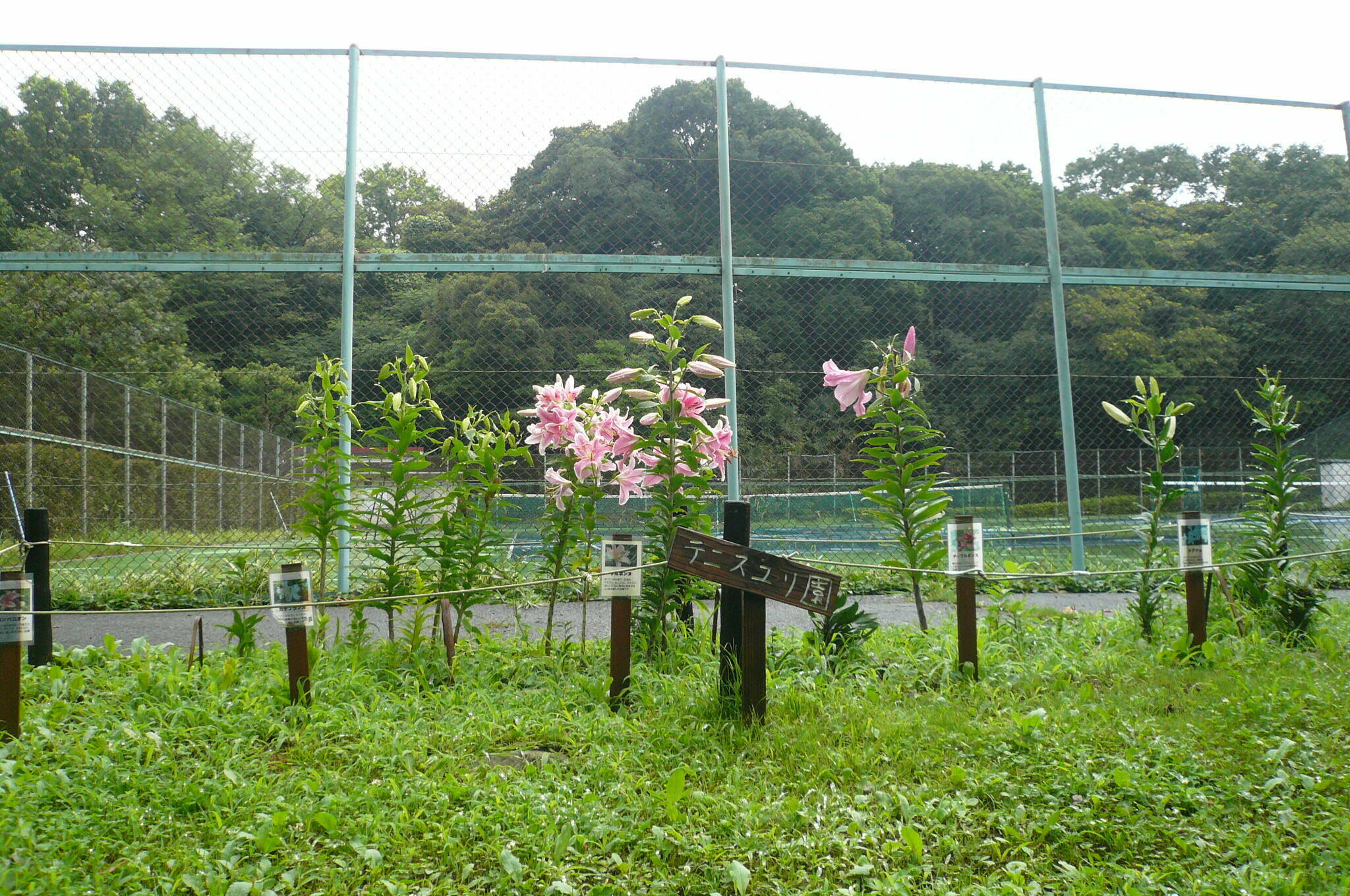P1120475.jpg