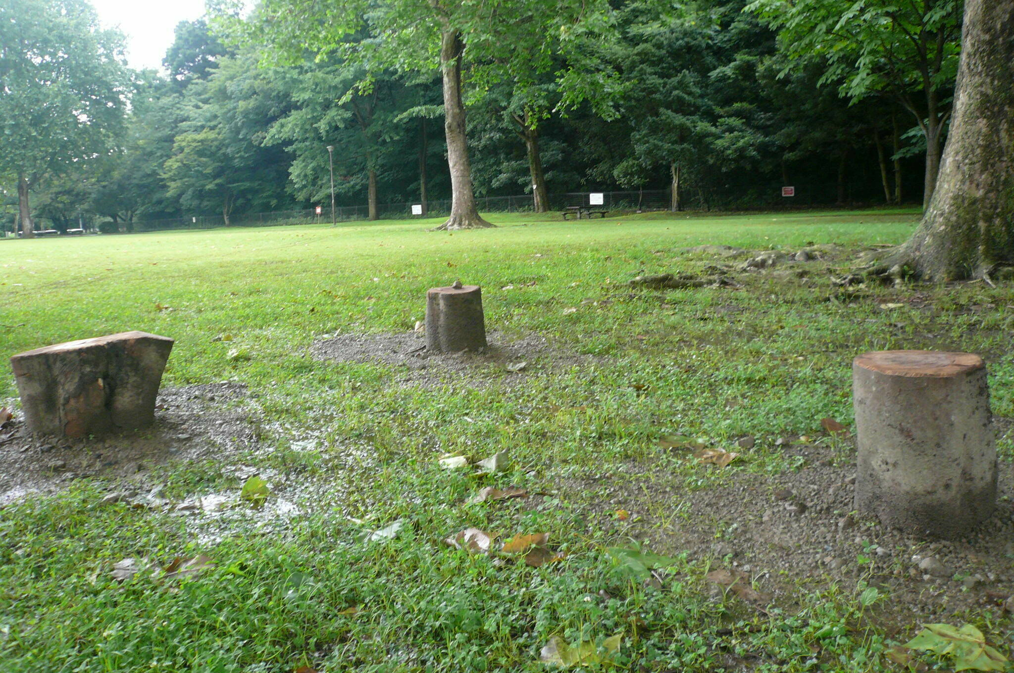 P1120513.jpg