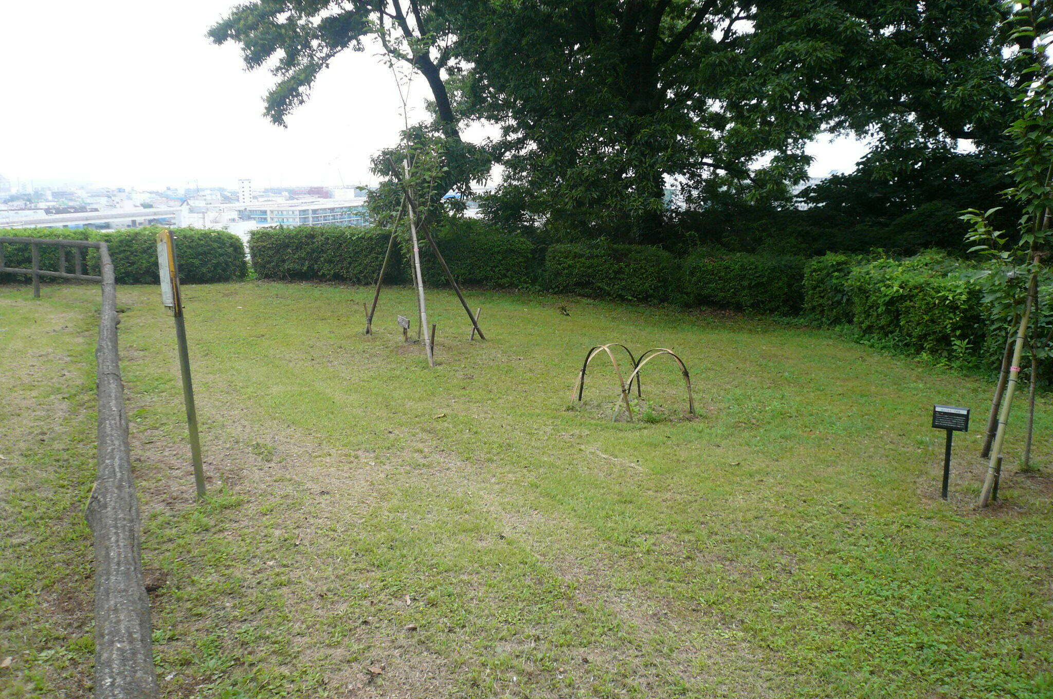 P1120568.jpg