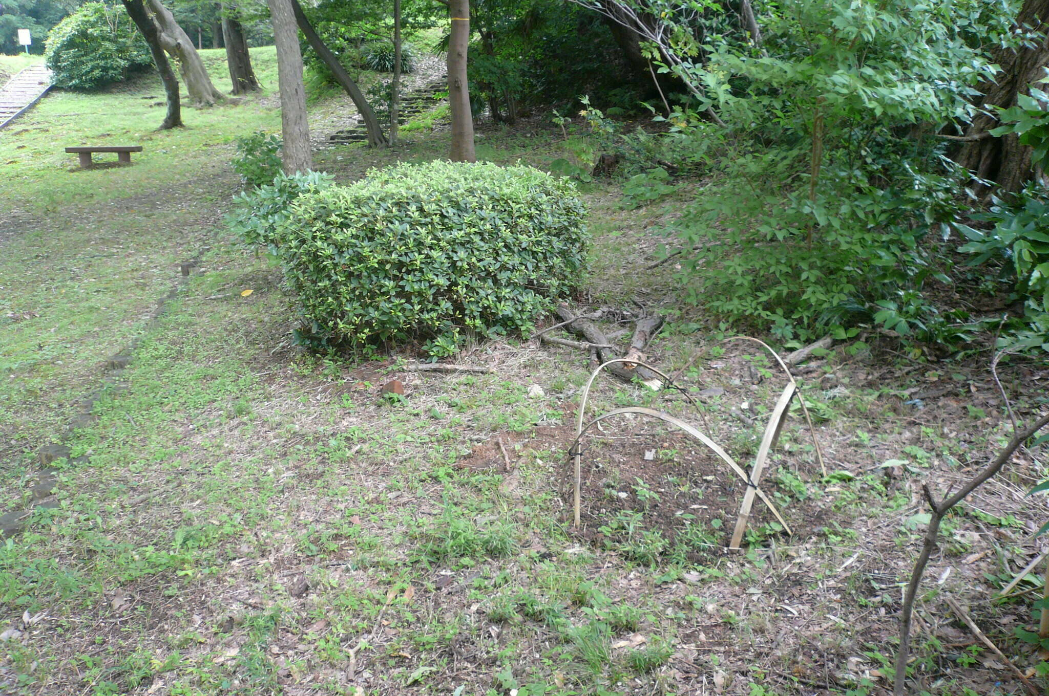 P1120570.jpg