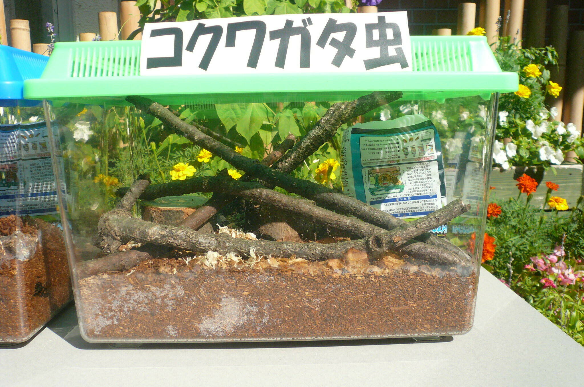P1120620.jpg