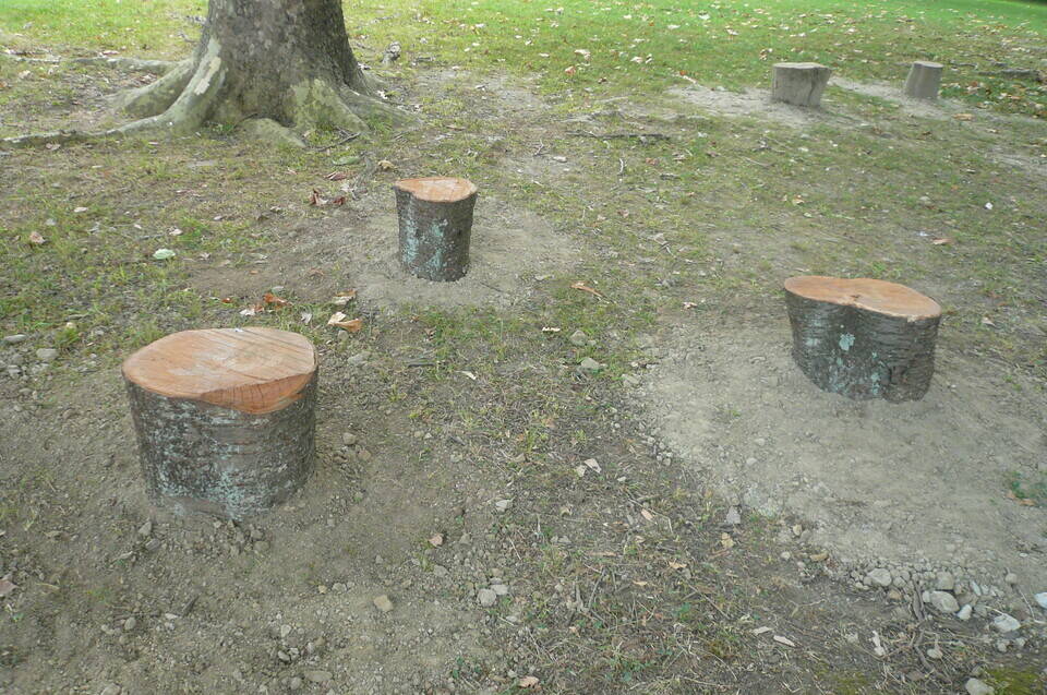 P1120644.jpg