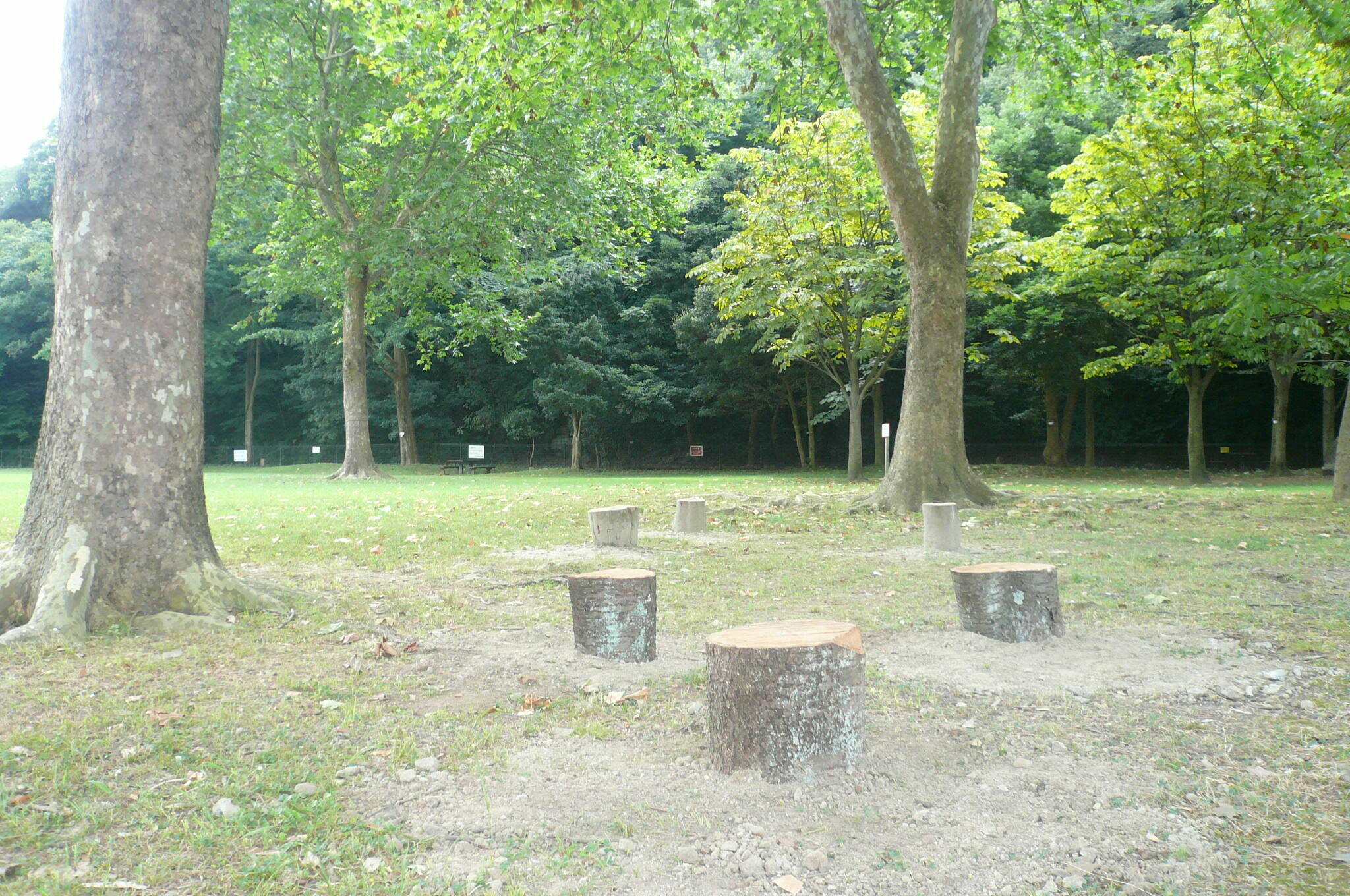 P1120646.jpg