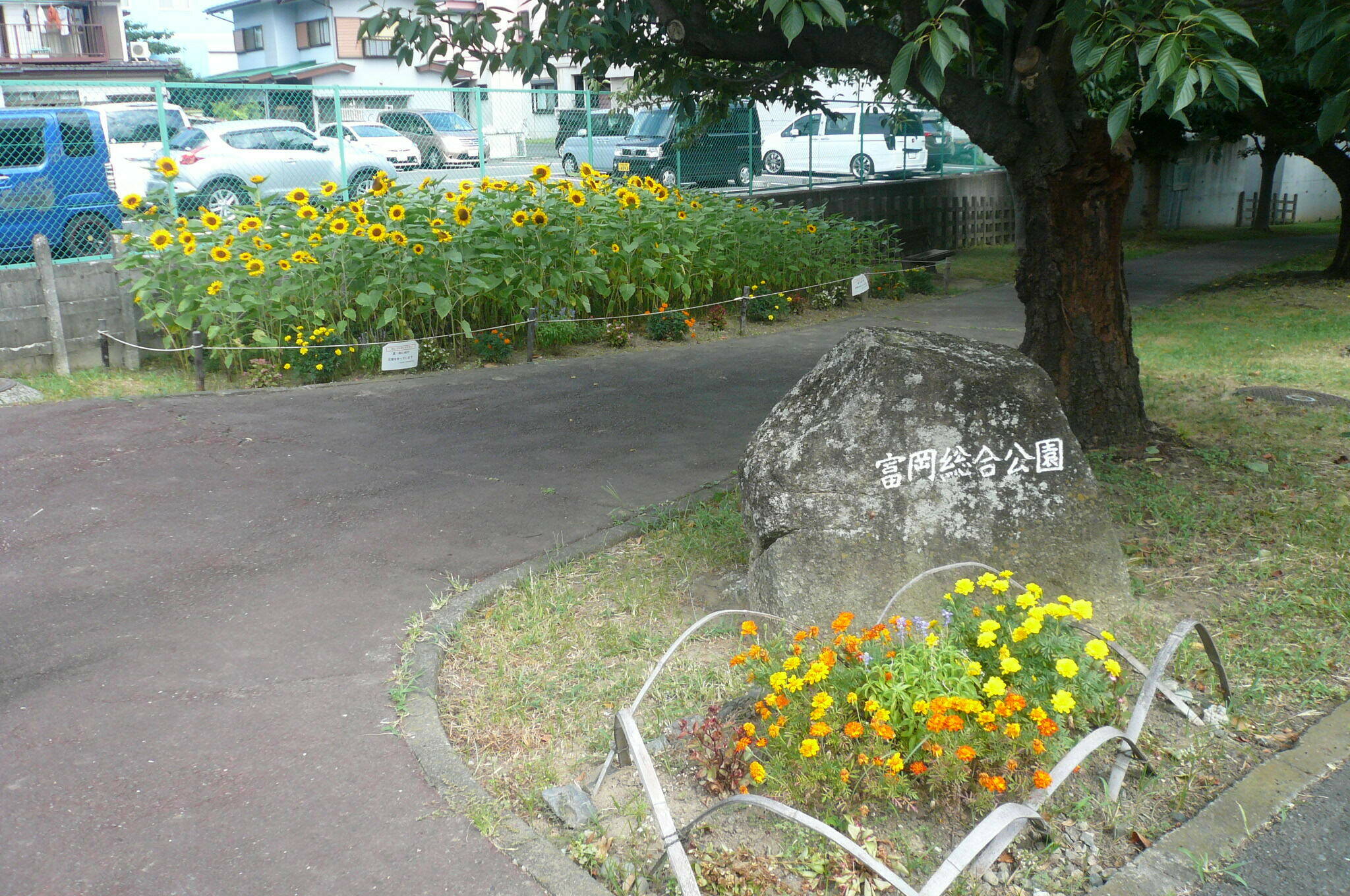 P1120648.jpg