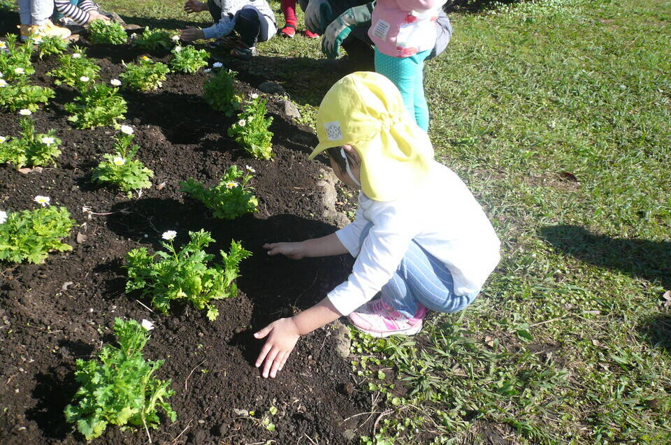 P1130186.jpg