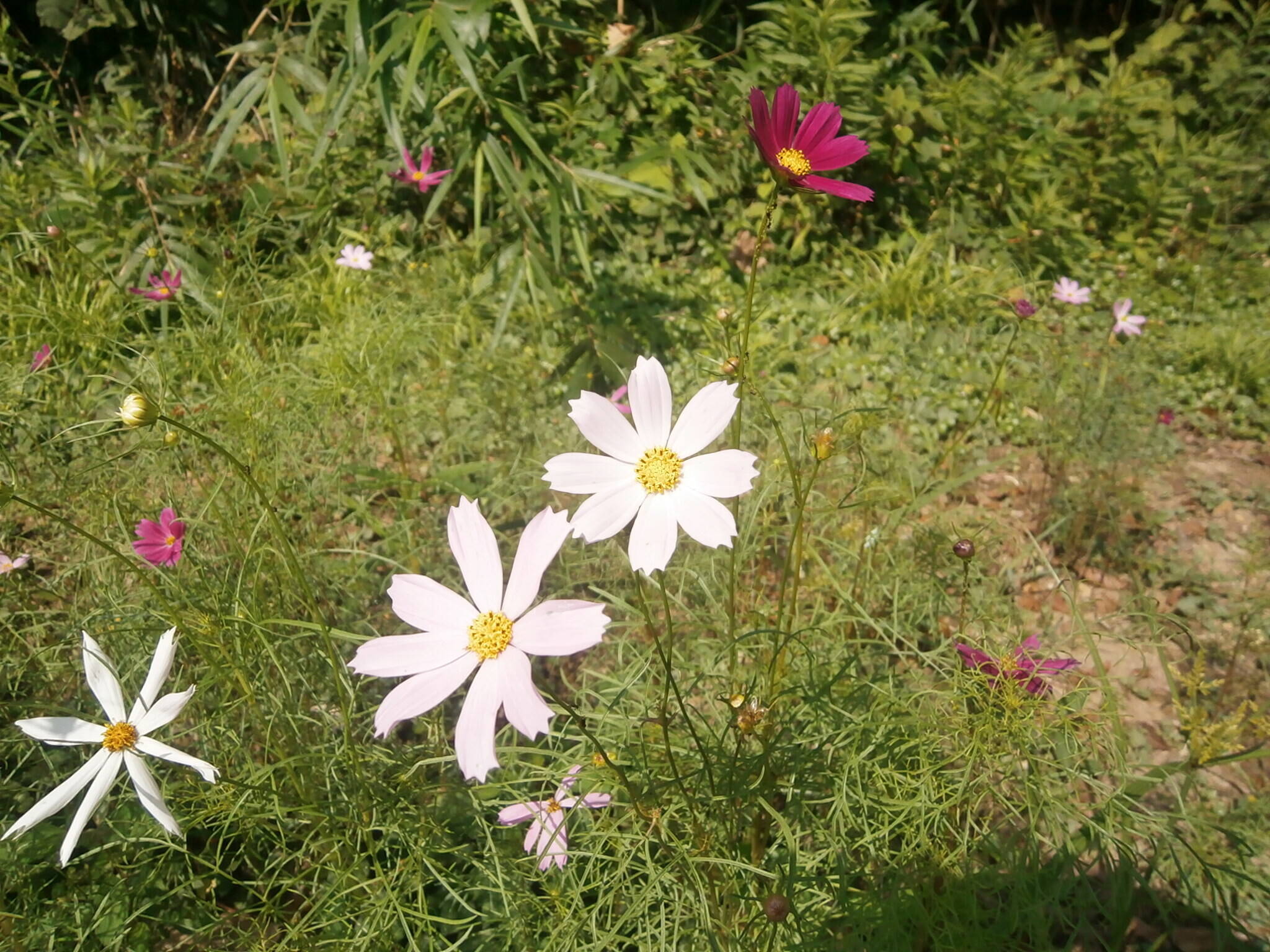 P8260564.jpg