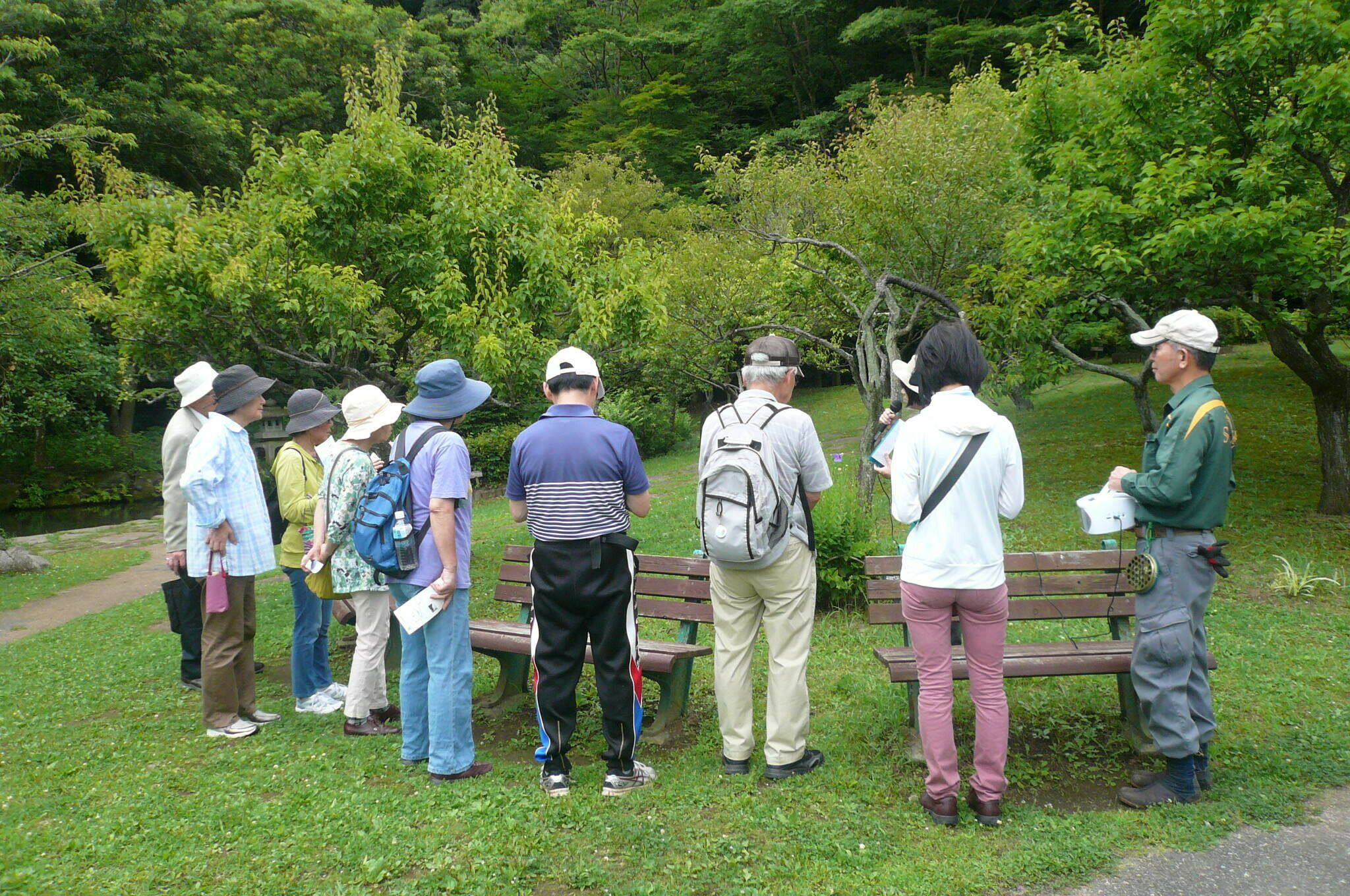 P1120414.jpg