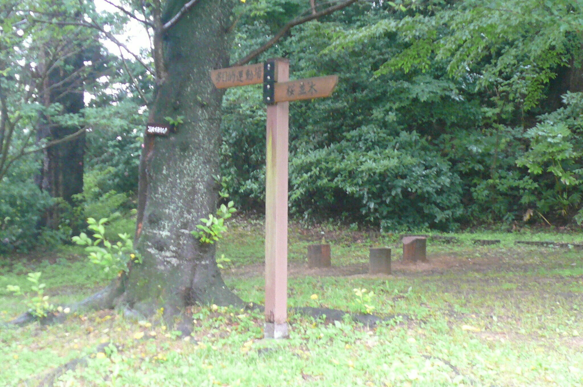 P1120488.jpg