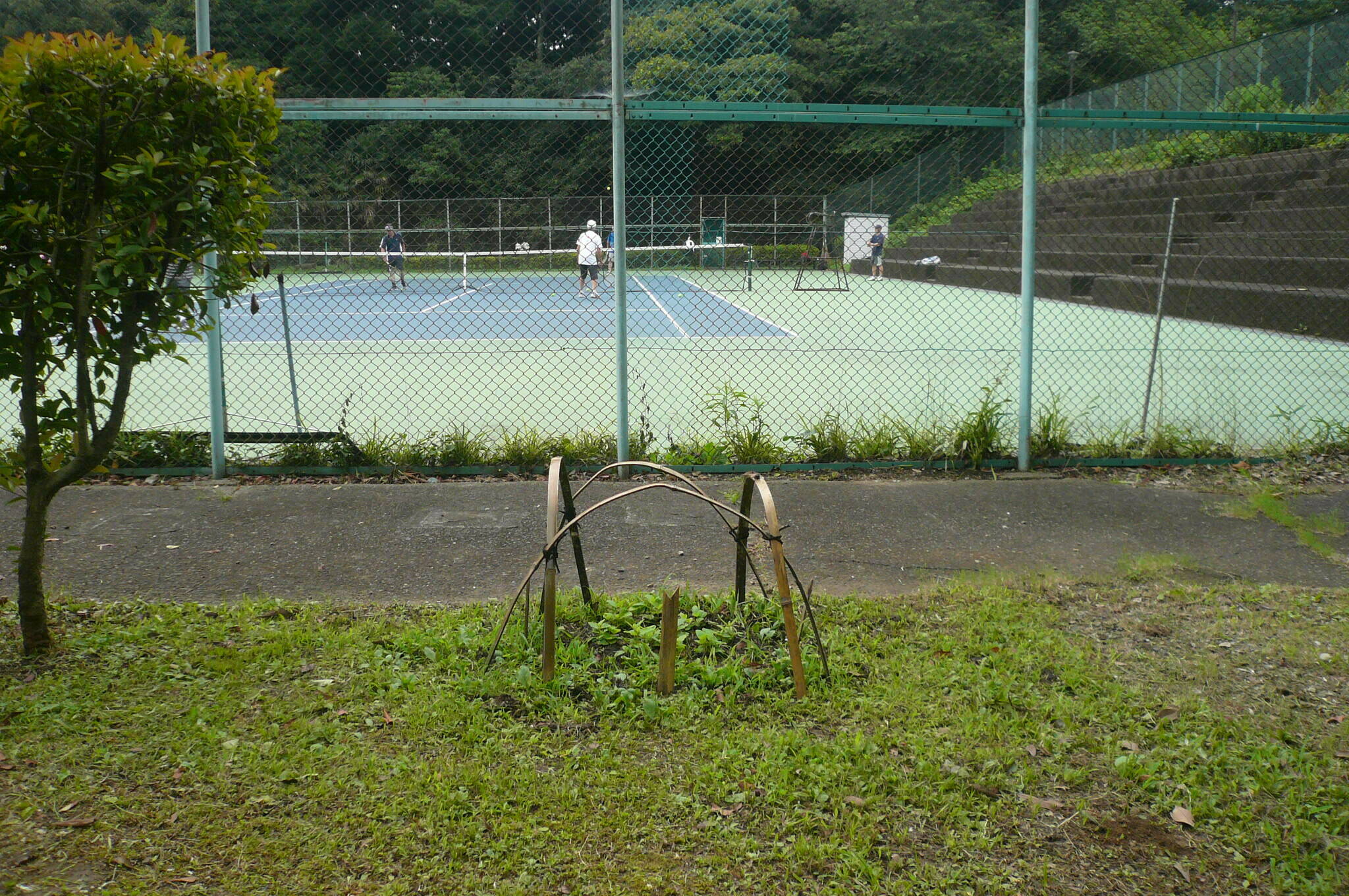 P1120569.jpg