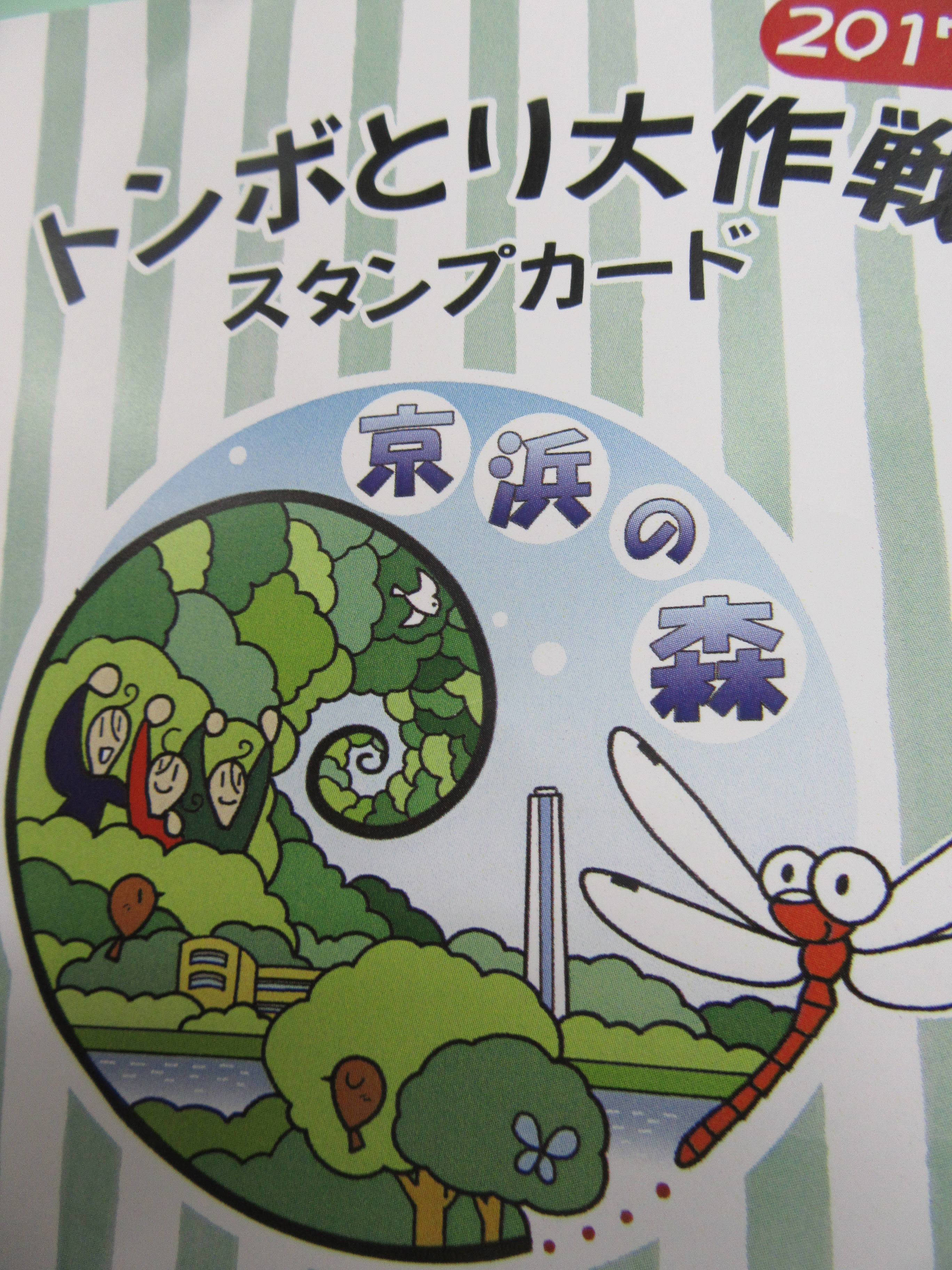 トンボとり大作戦 ９月３日 ブログ 富岡総合公園公式サイト 公益財団法人 横浜市緑の協会