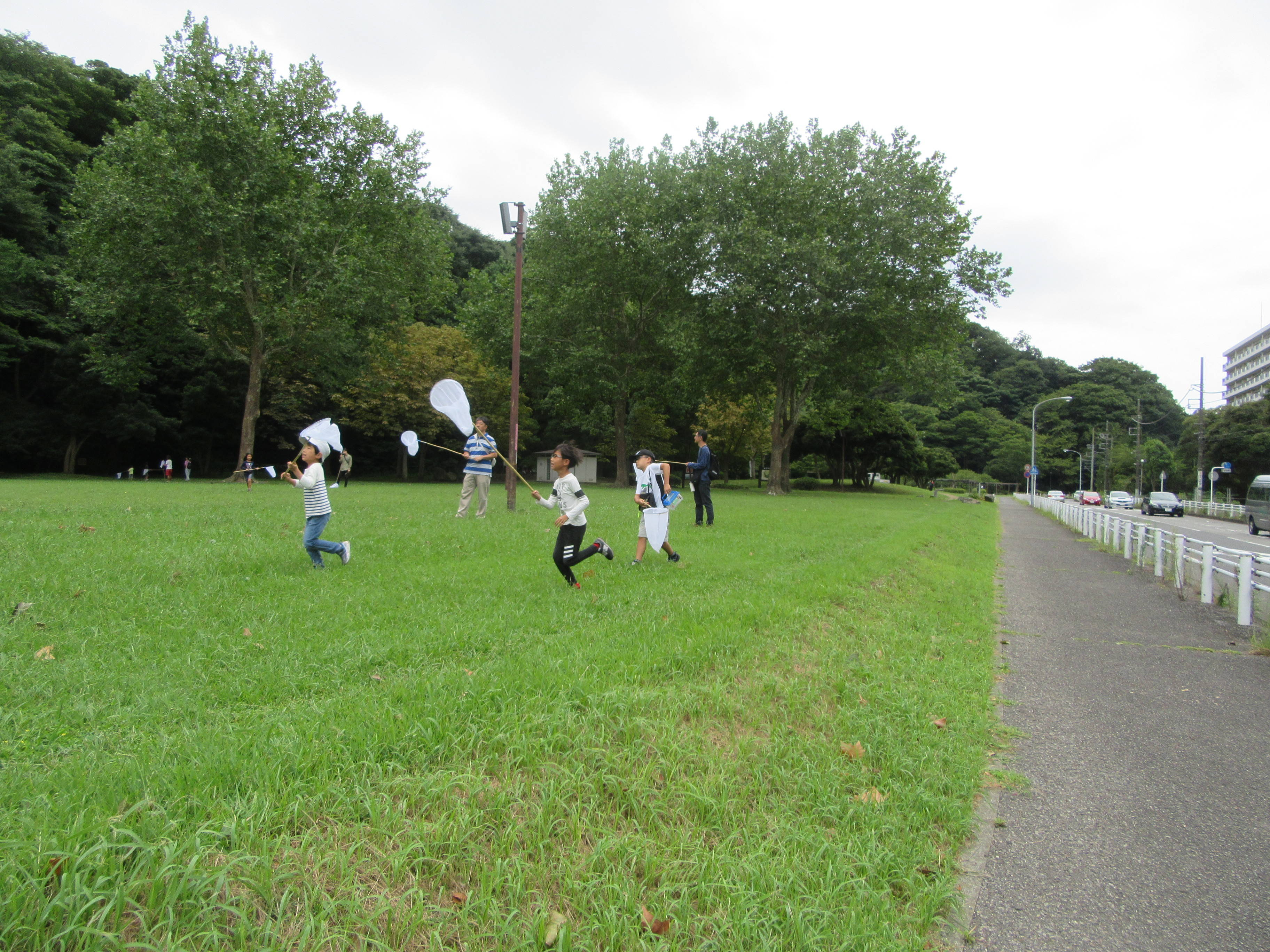 トンボ0903-2.jpg