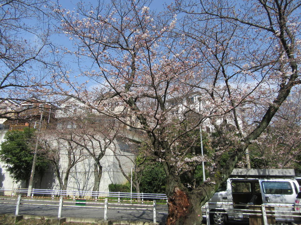 IMG_7934.jpg