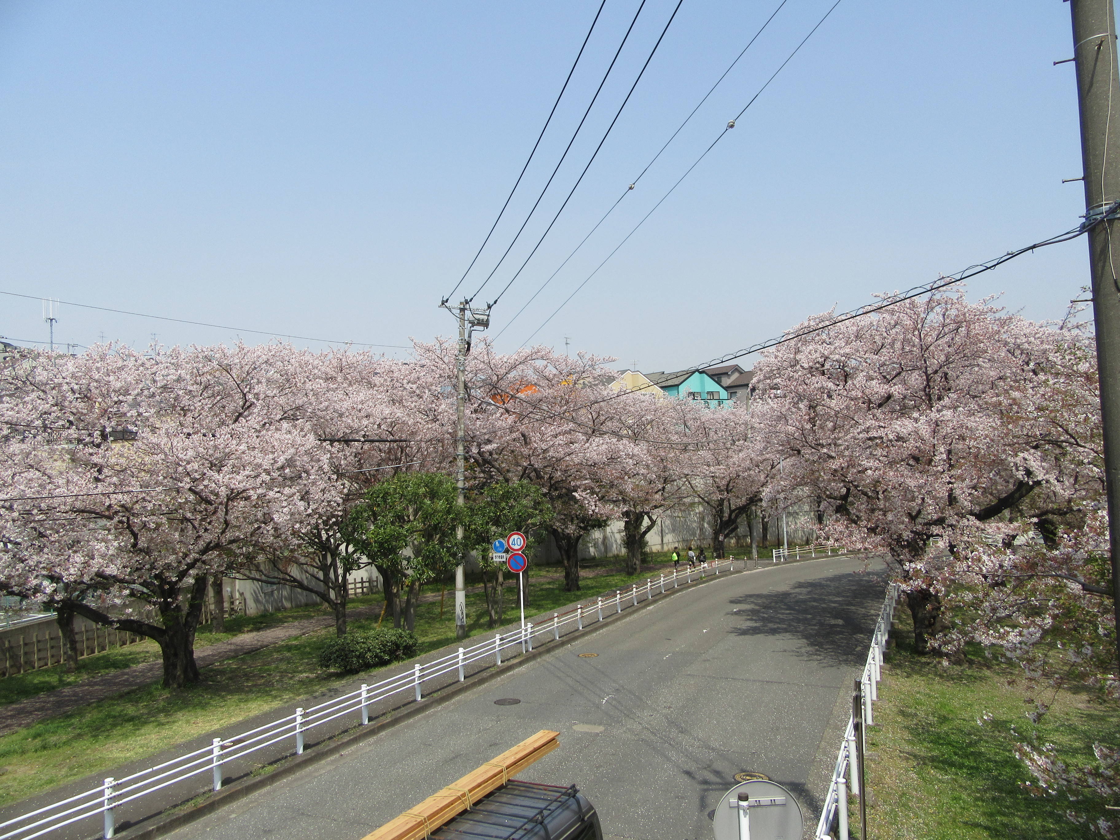 IMG_8359.jpg