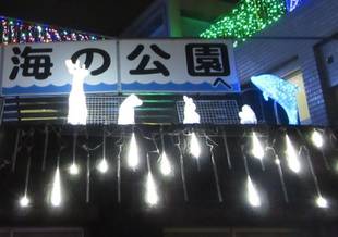 「海の公園ウィンターイルミネーション」が今年も始まりました