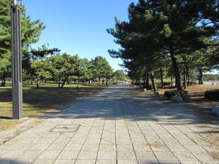 横浜金沢ビーチサイドマラソンのコースを走ってみました