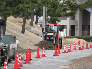 春一番が吹くと・・・