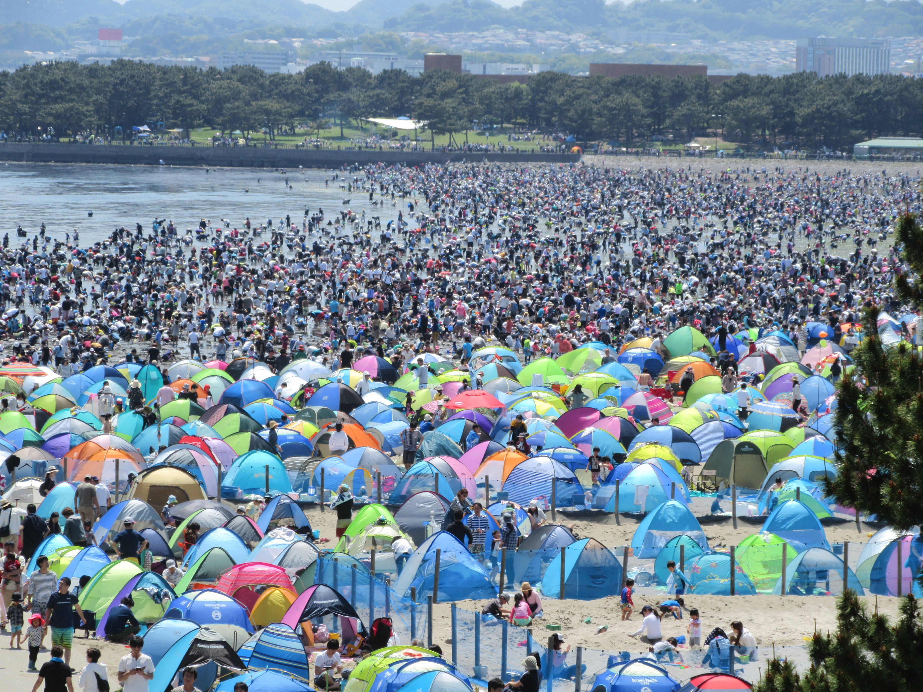 2017海の公園 「潮干狩り」 報告 【4月29日号】の写真