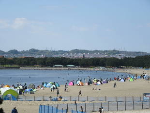 2017海の公園 「潮干狩り」 報告 【4月23日号】