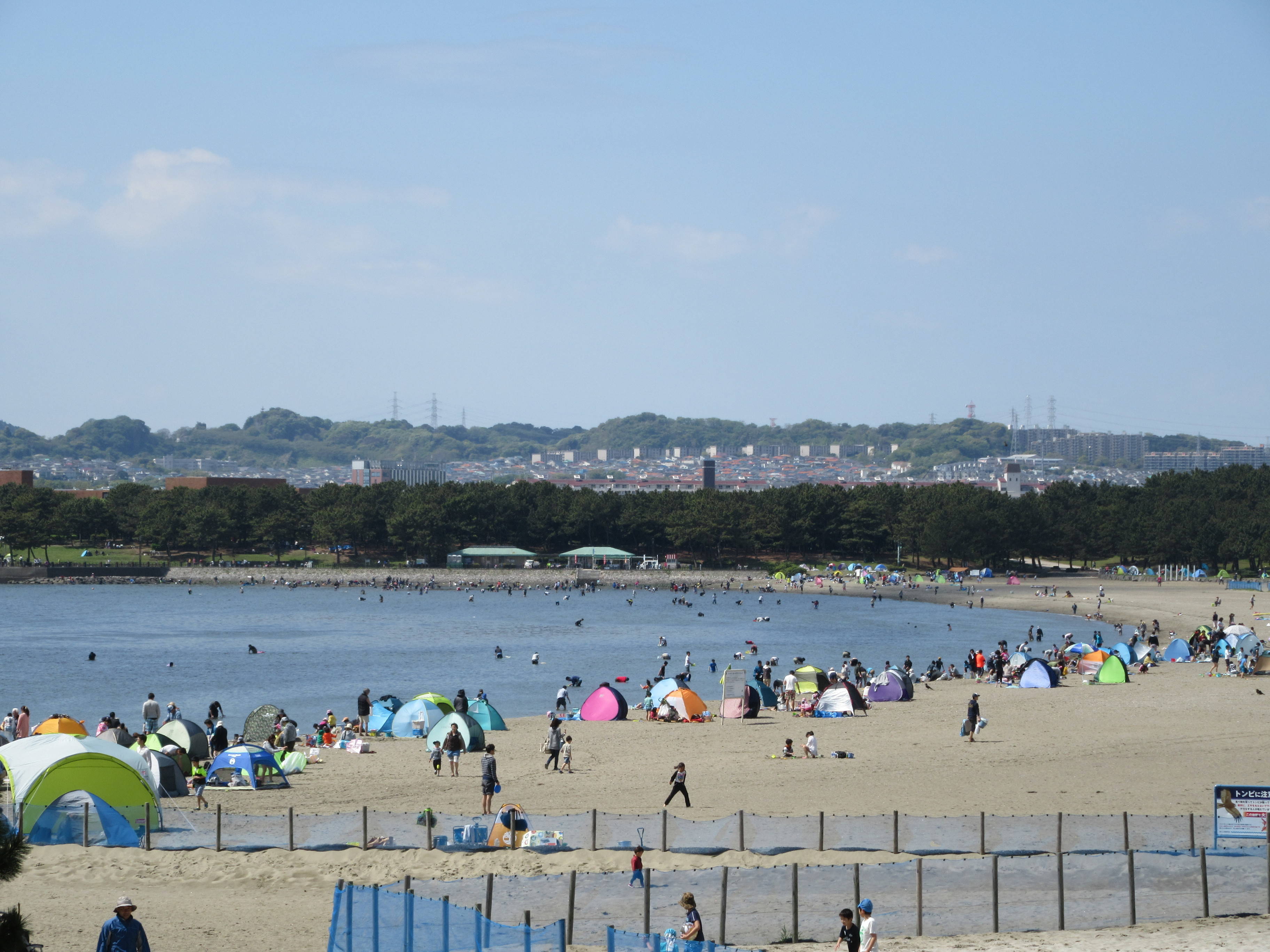 2017海の公園 「潮干狩り」 報告 【4月23日号】の写真