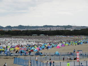 2017海の公園 「潮干狩り」 報告 【5月14日号】