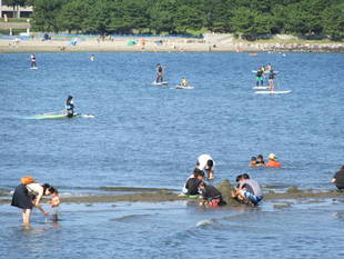 海水浴シーズンが終わって・・・