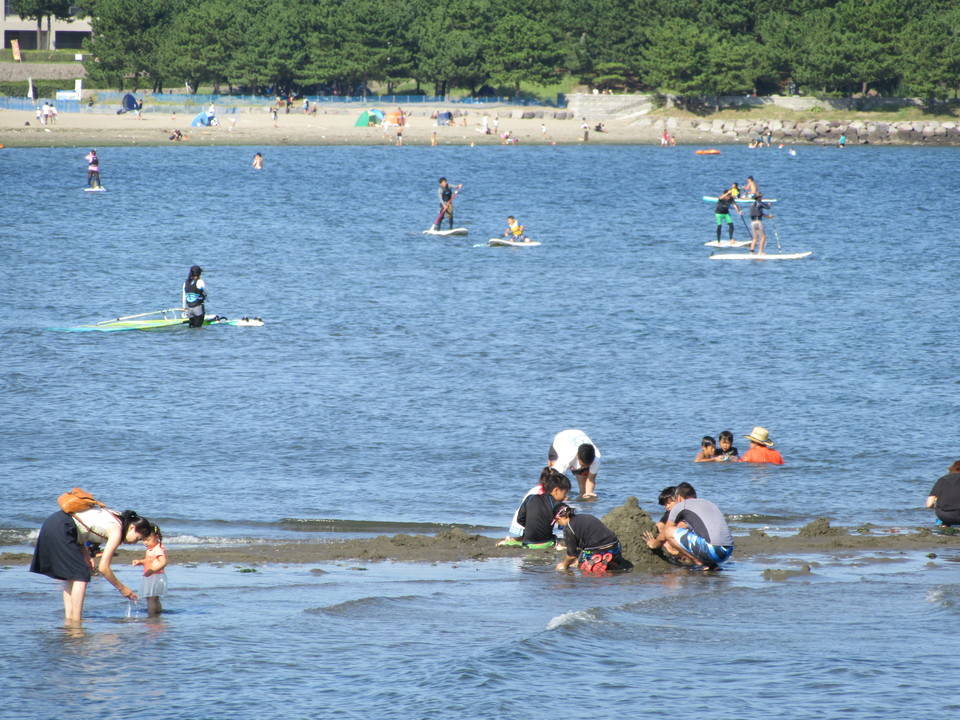 海水浴シーズンが終わって・・・の写真
