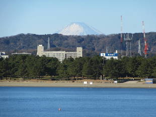 新年を迎えて2018