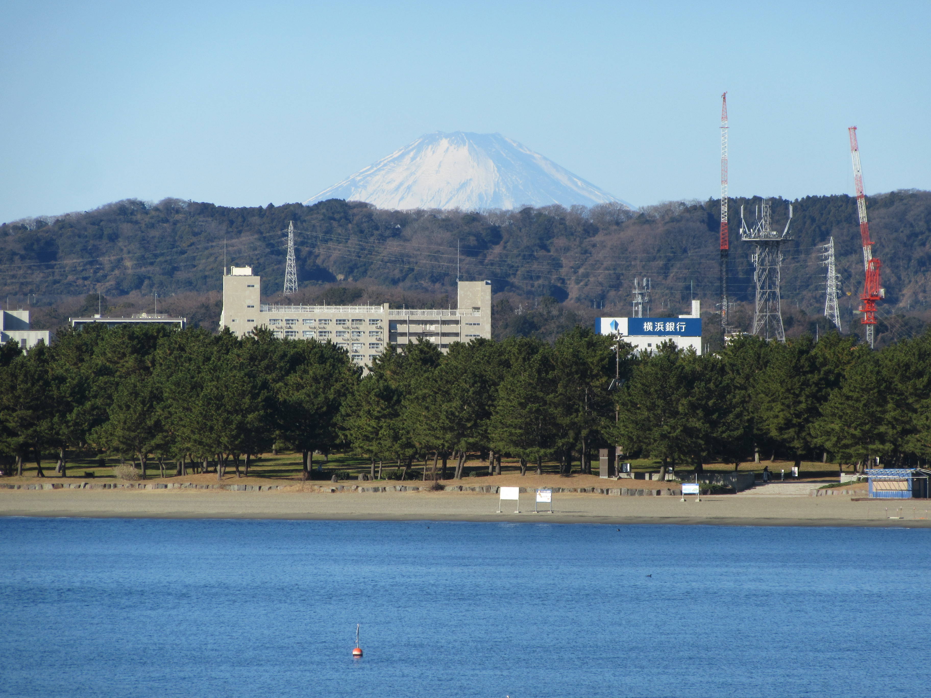 新年を迎えて2018の写真