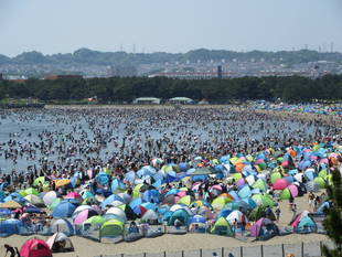 2018海の公園 「潮干狩り」 報告 【4月29日号】