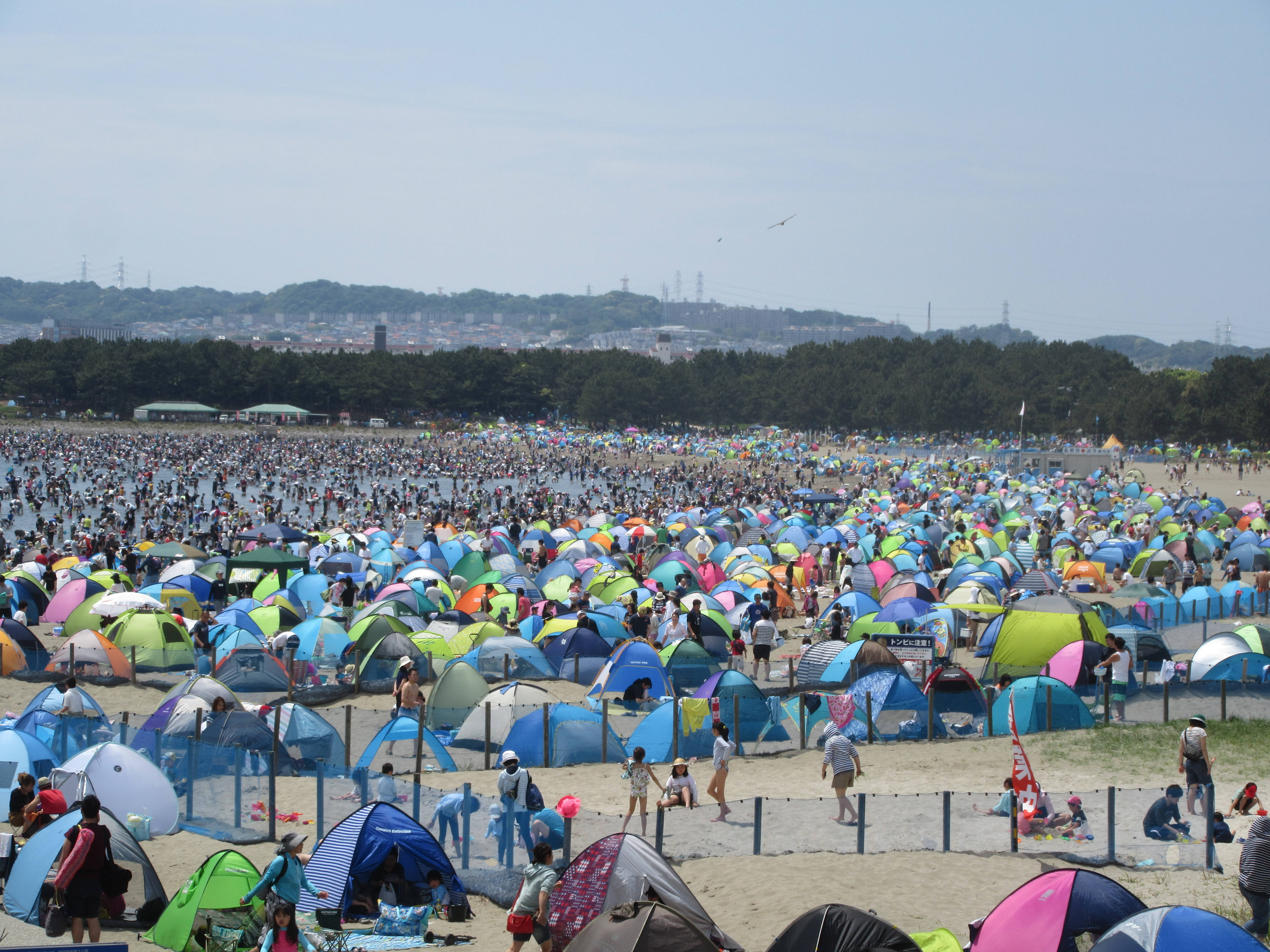 2018海の公園「潮干狩り」報告【4月30日号】の写真