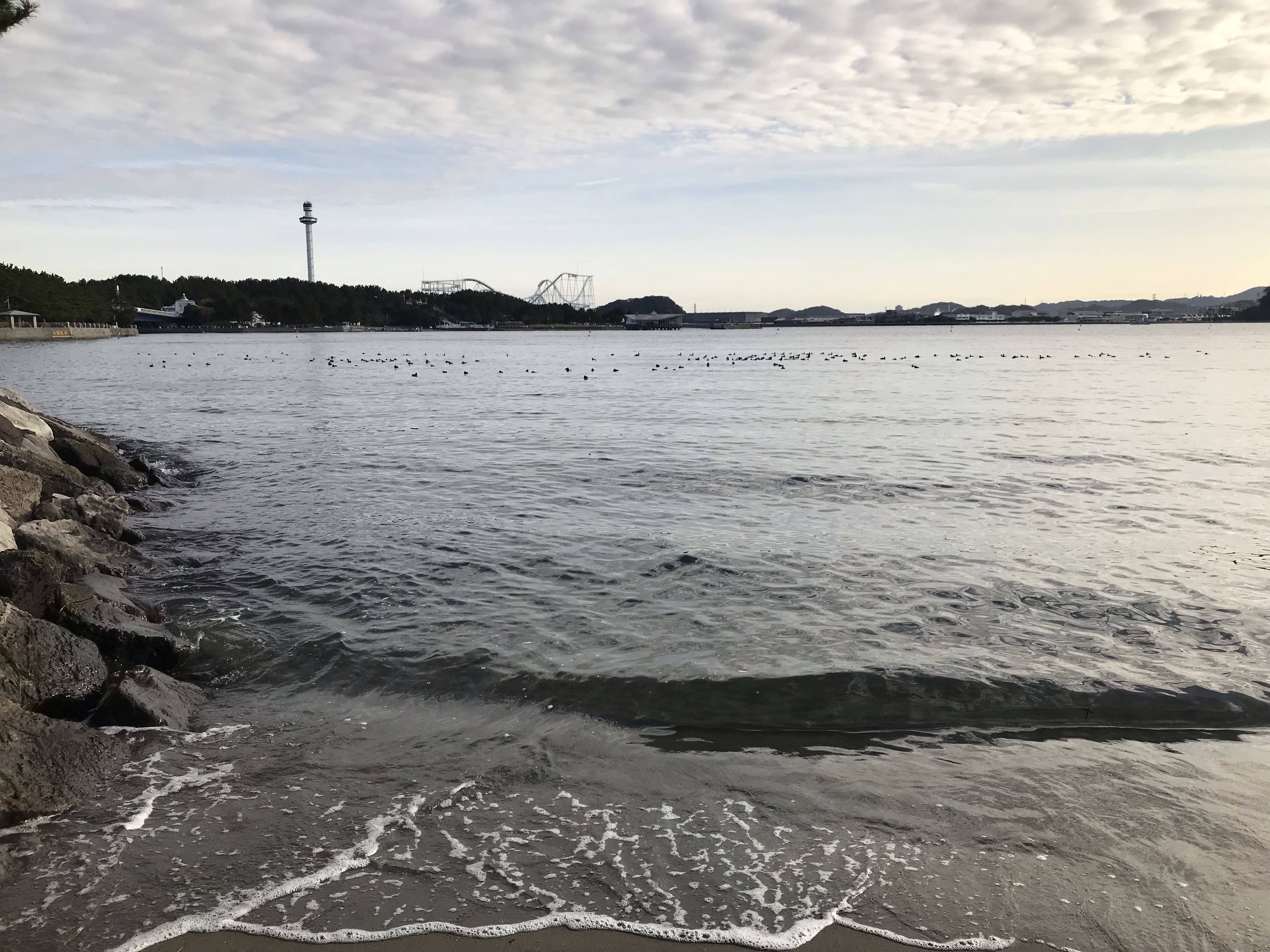 冬のはじまりの写真