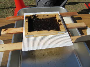 海の食育講座　開催しました！