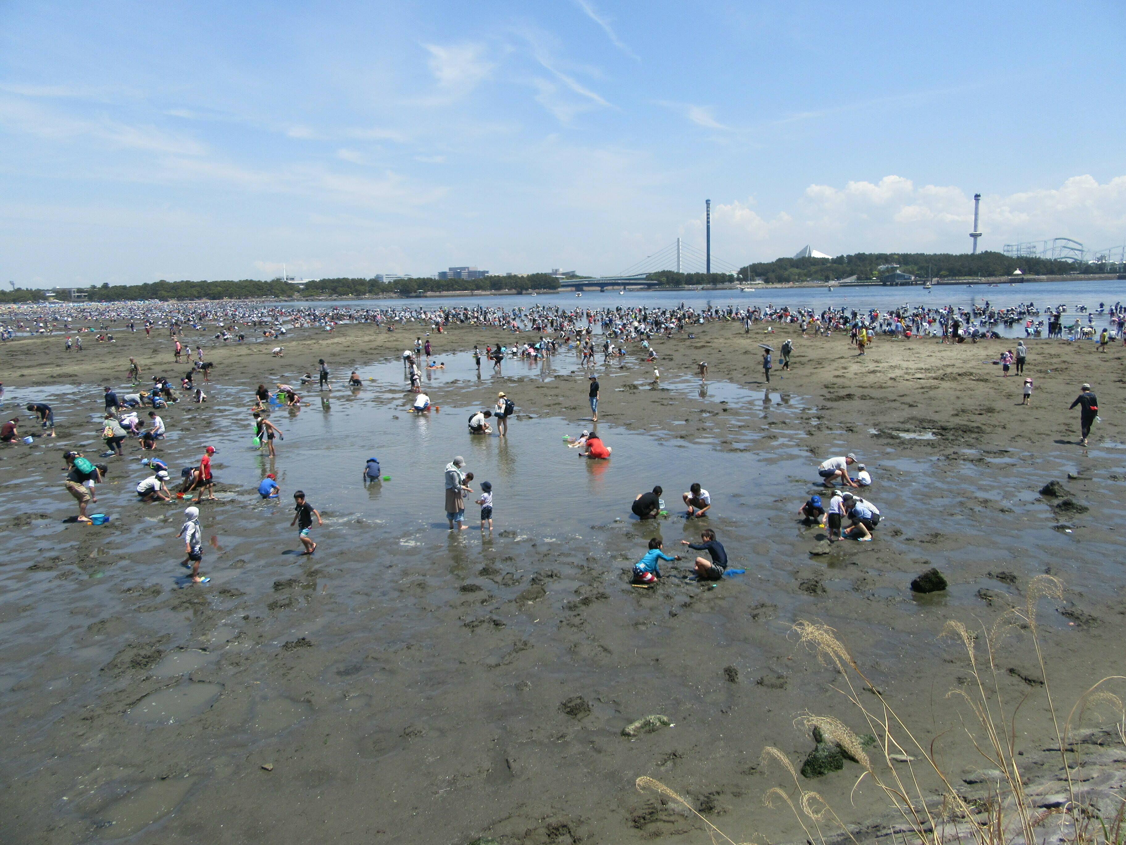 2019海の公園 「潮干狩り」 報告 【5月5日号】の写真