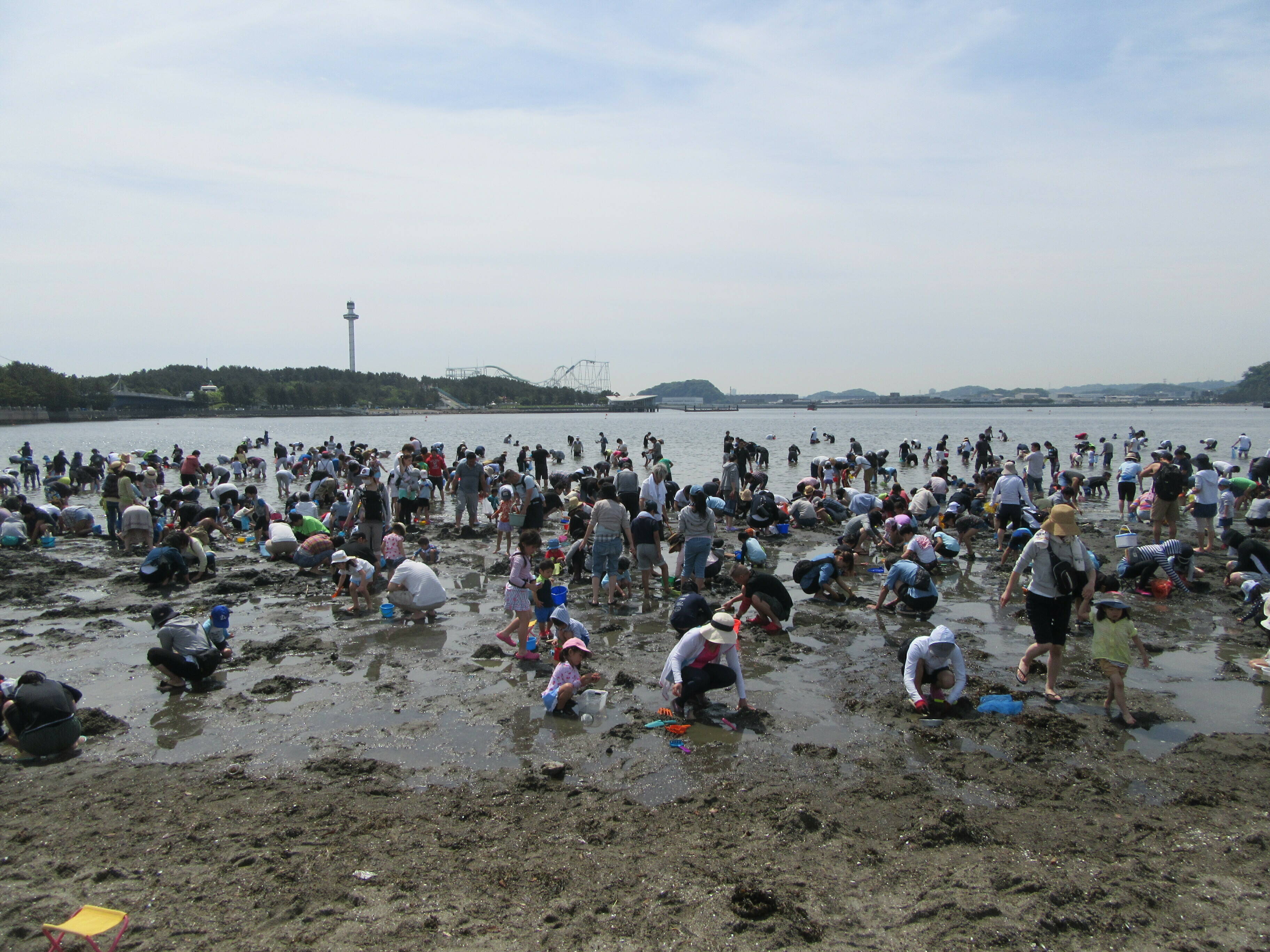 2019海の公園 「潮干狩り」 報告 【5月3日号】の写真