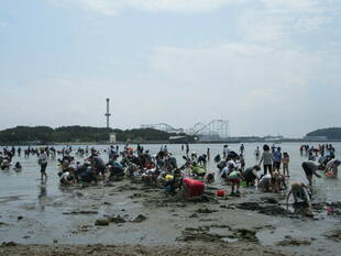 2019海の公園 「潮干狩り」 報告 【5月4日号】