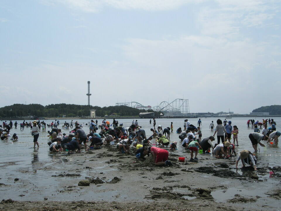 2019海の公園 「潮干狩り」 報告 【5月4日号】の写真