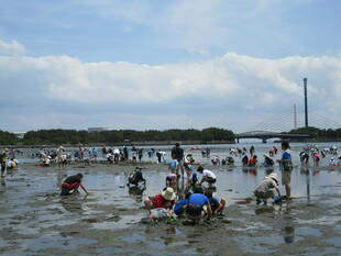 2019海の公園 「潮干狩り」 報告 【5月18日号】