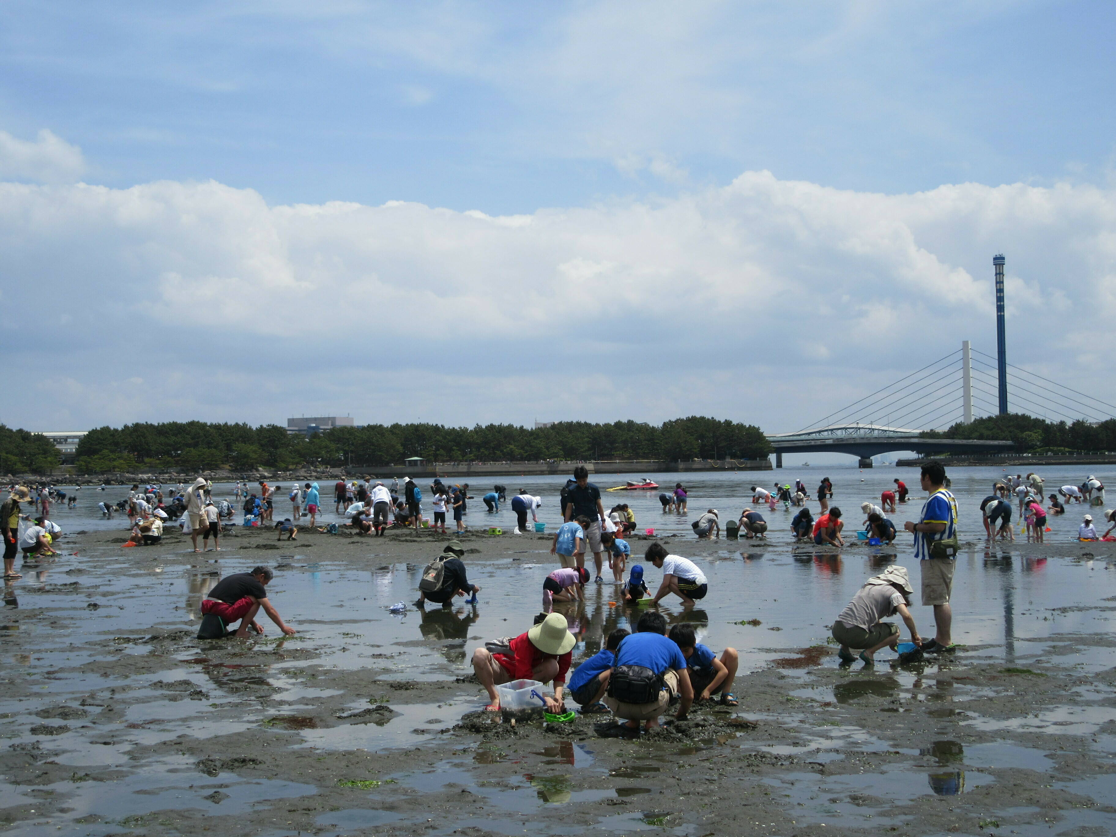 2019海の公園 「潮干狩り」 報告 【5月18日号】の写真
