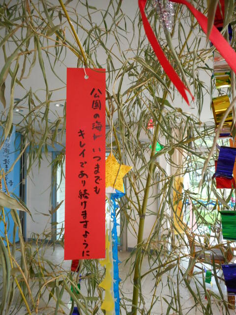 DSCN0877.JPG