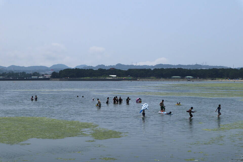 梅雨明けしたよ。海水浴だよ。の写真